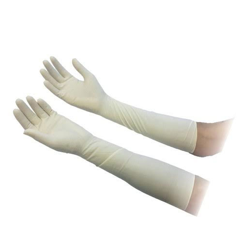 Гинекологические перчатки показаны надетыми на руки